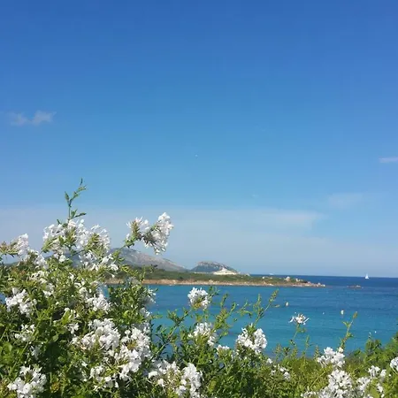 Nyaraló Inzaina Olbia
